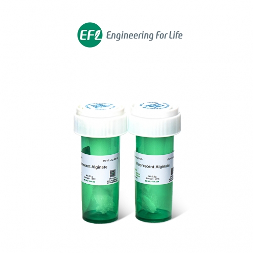 熒光標(biāo)記海藻酸鈉；Fluorescent Alginate；