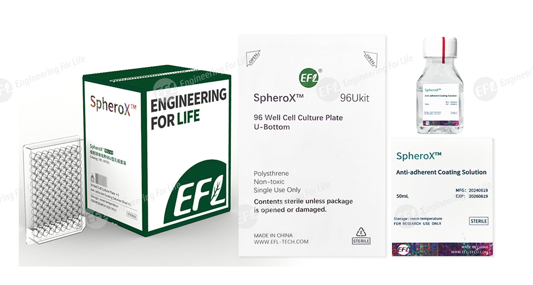 【產(chǎn)品拼圖】EFL-SP101-SpheroX?96UKit-細(xì)胞球體培養(yǎng)96U孔板套裝-20241111_01.jpg