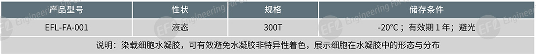 圖片1.jpg