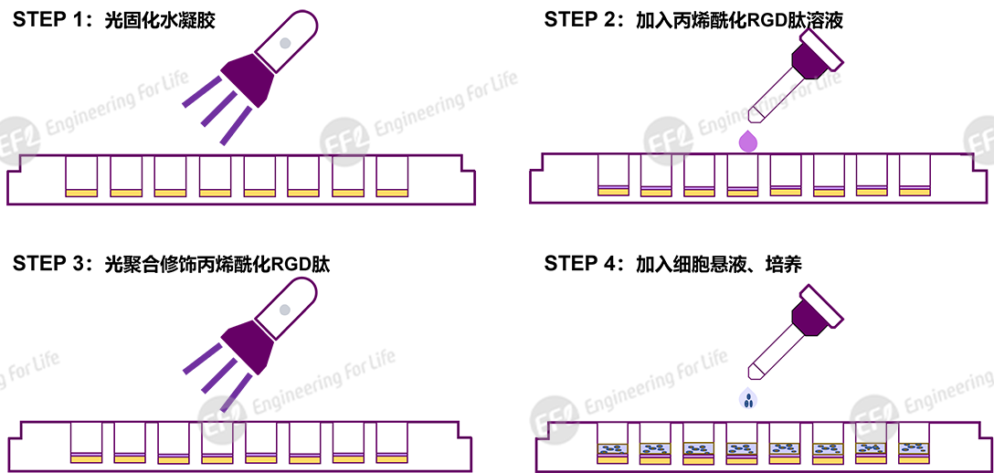 圖片2.png