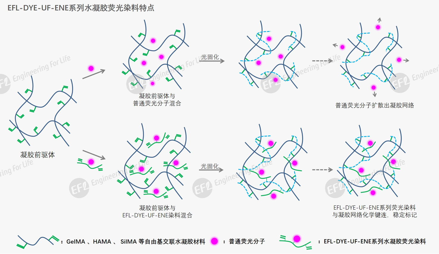 圖片3.jpg